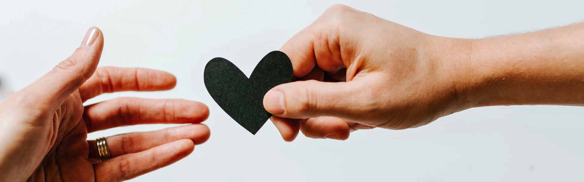 MODERE Share the Love Prämien mit Best Preis Angeboten